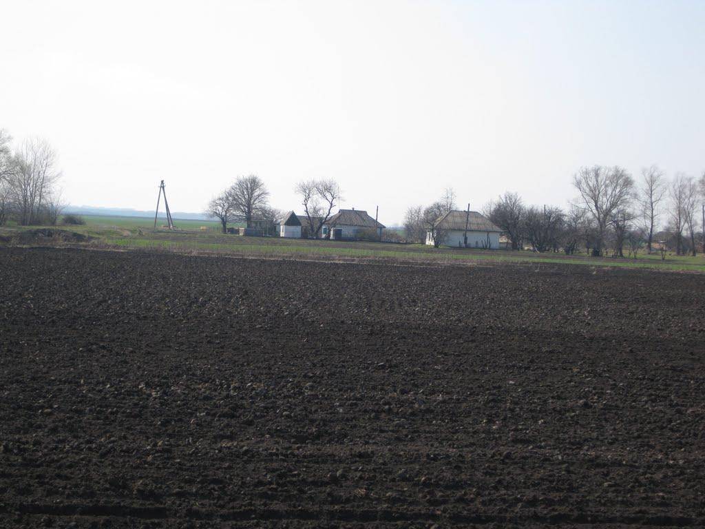 Підок з panoramio.com - Подок