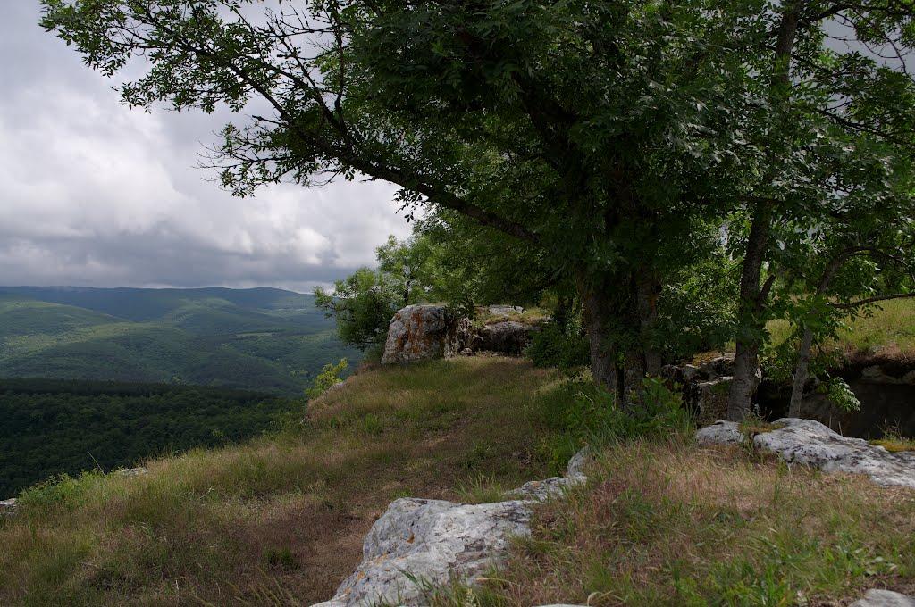 Велике Садове з panoramio.com - Velyke Sadove