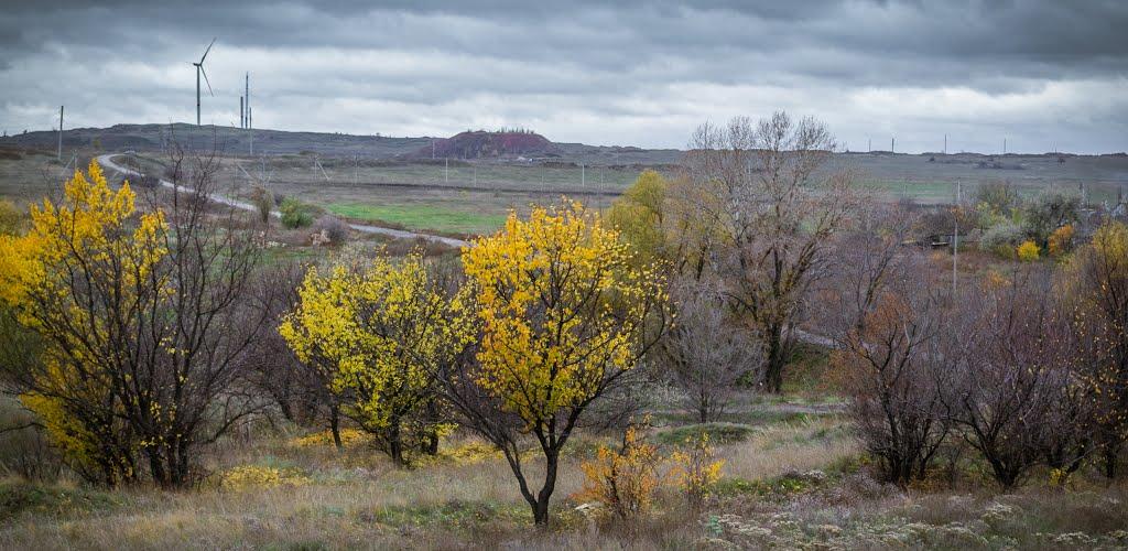 Біле з panoramio.com - Белое