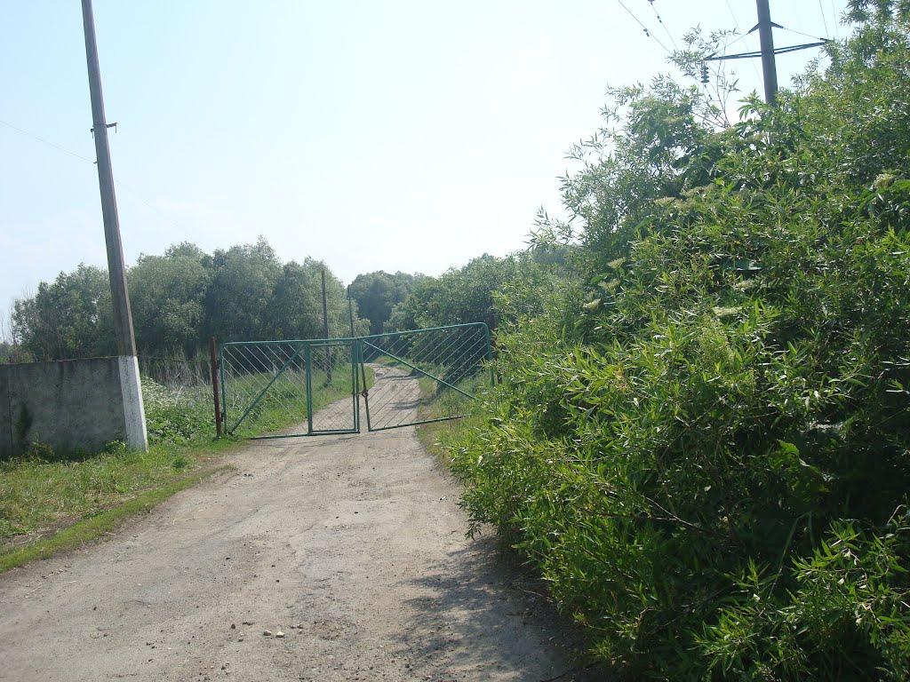 Давидківці з panoramio.com - Давидківці