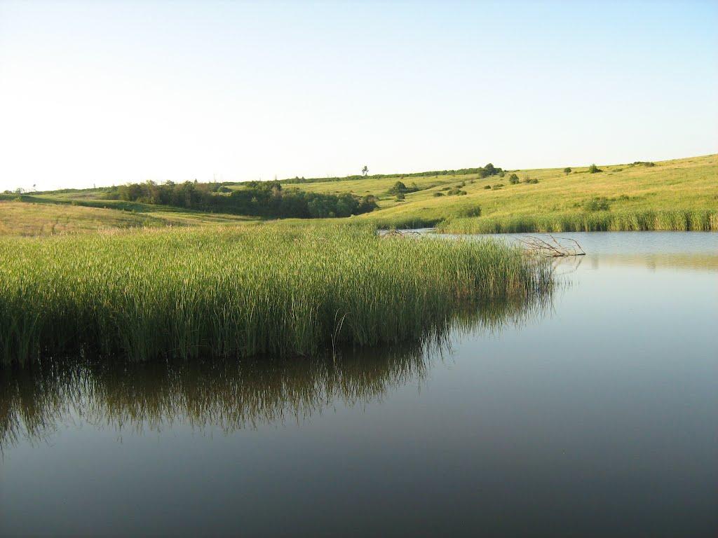 Аношкине з panoramio.com - Аношкине