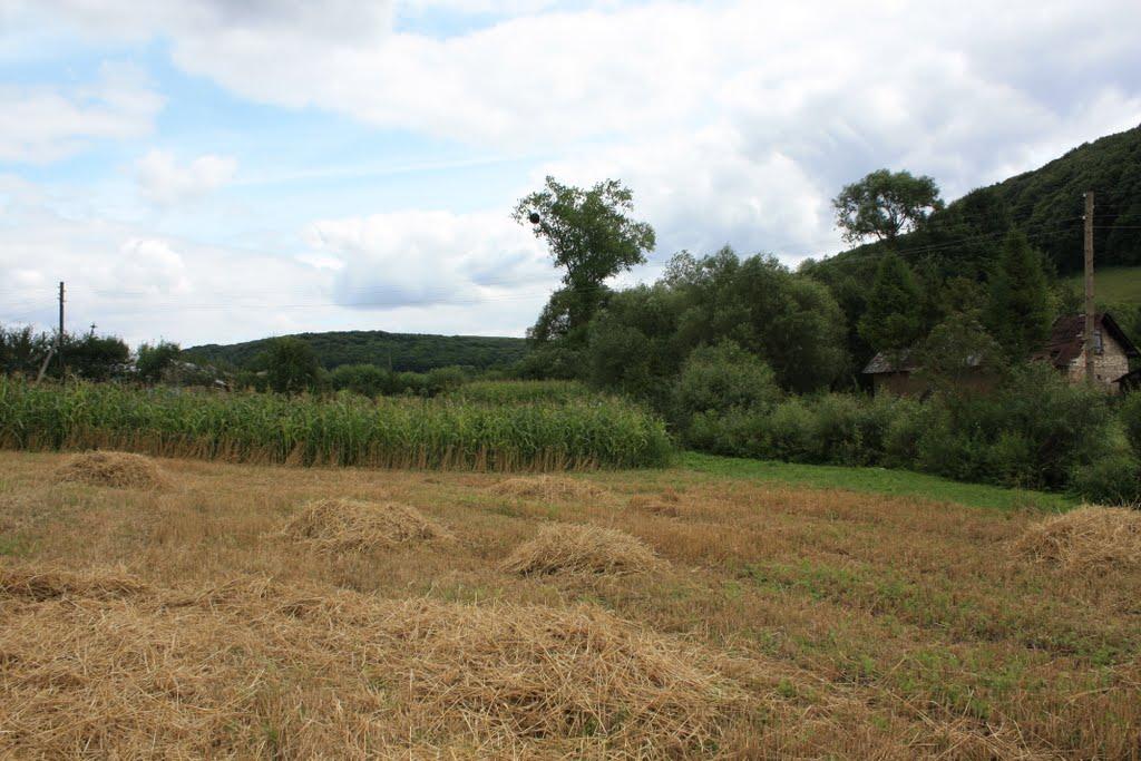 Рекшин з panoramio.com - Рекшин