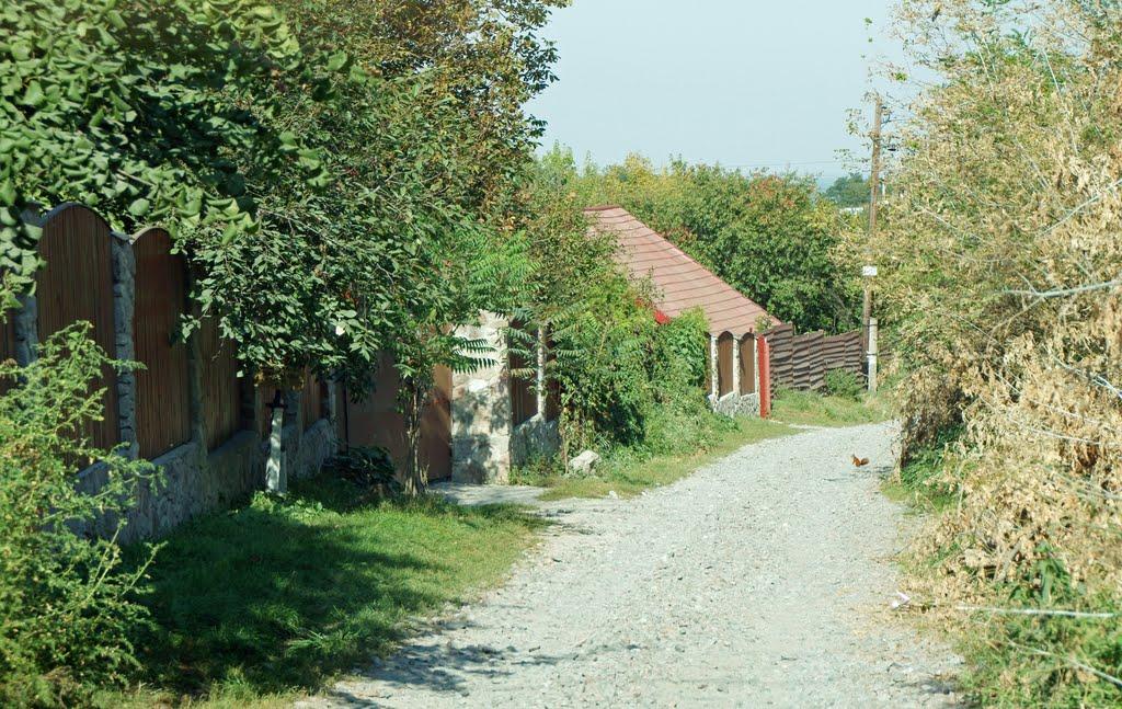 Витачів з panoramio.com - Витачев