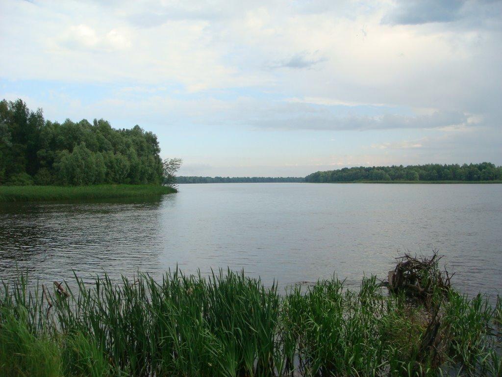 Сорокошичі з panoramio.com - Sorokoshychi