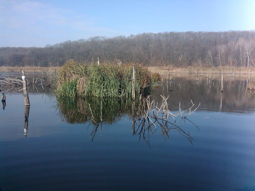 Ірдинь з panoramio.com - Ирдынь