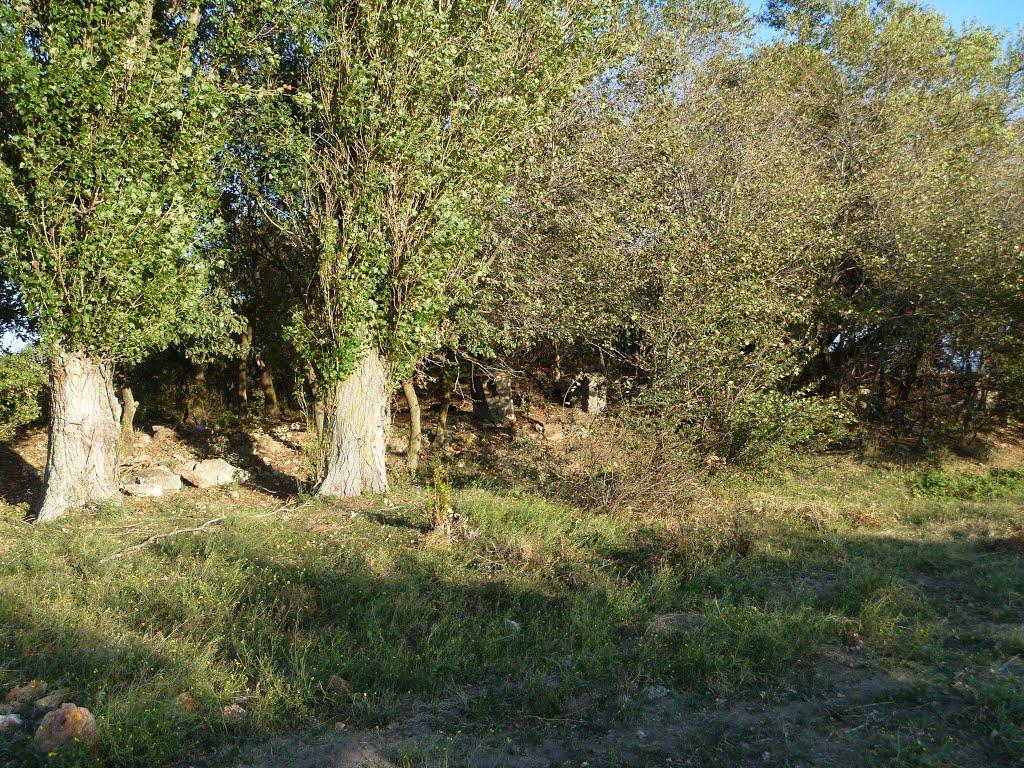 Окунівка з panoramio.com - Окунівка