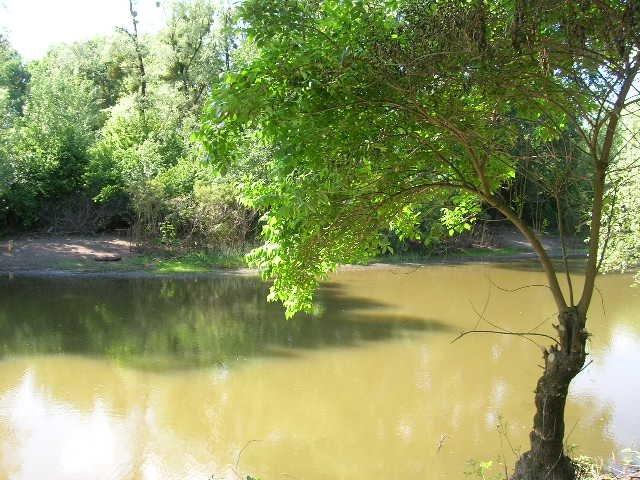 Соломоново з panoramio.com (ч.2) - Соломоново