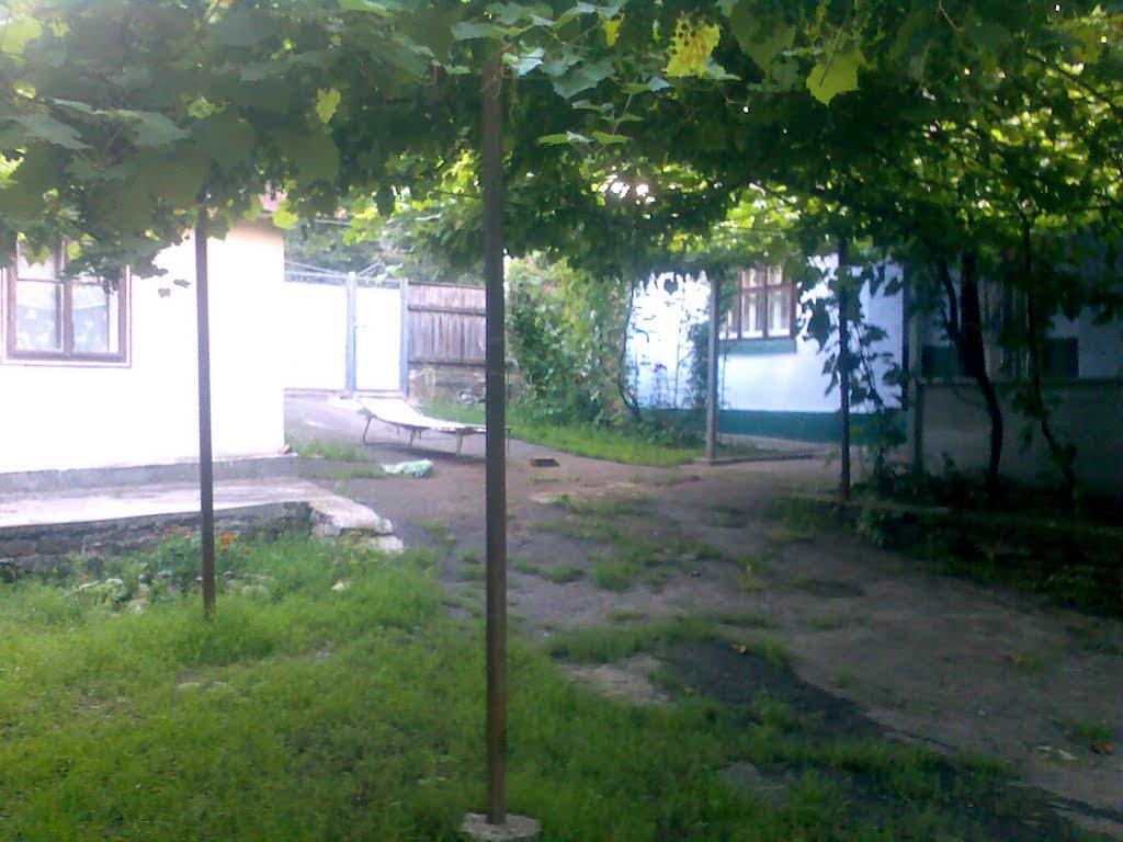 Ворвулинці з panoramio.com - Ворвулинцы