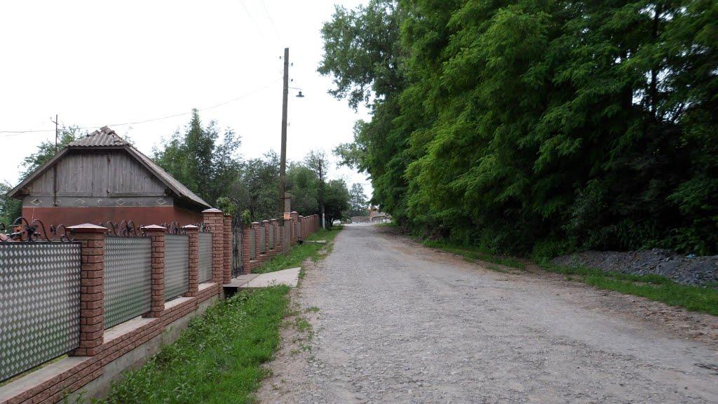 Ворвулинці з panoramio.com - Ворвулинцы