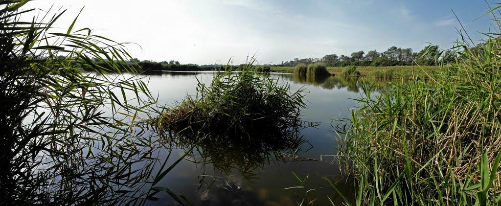 Братсько-Семенівка з panoramio.com - Bratsko-Semenivka