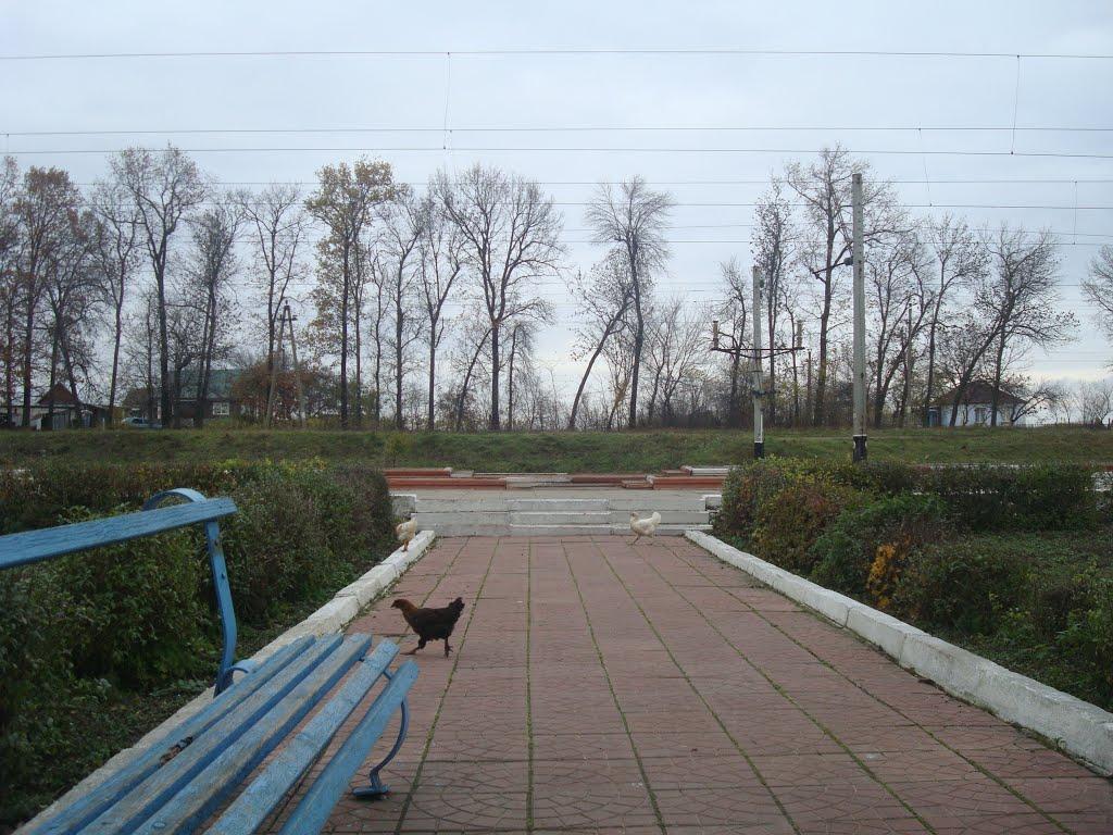 Війтівці з panoramio.com - Войтовцы