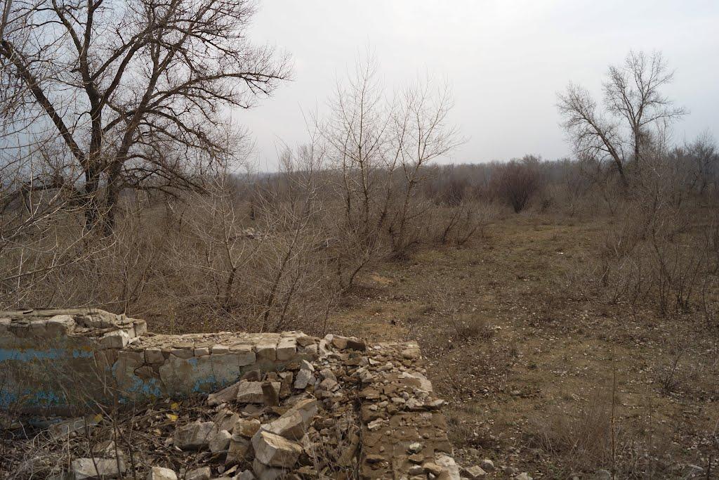 Кряківка з panoramio.com - Кряковка