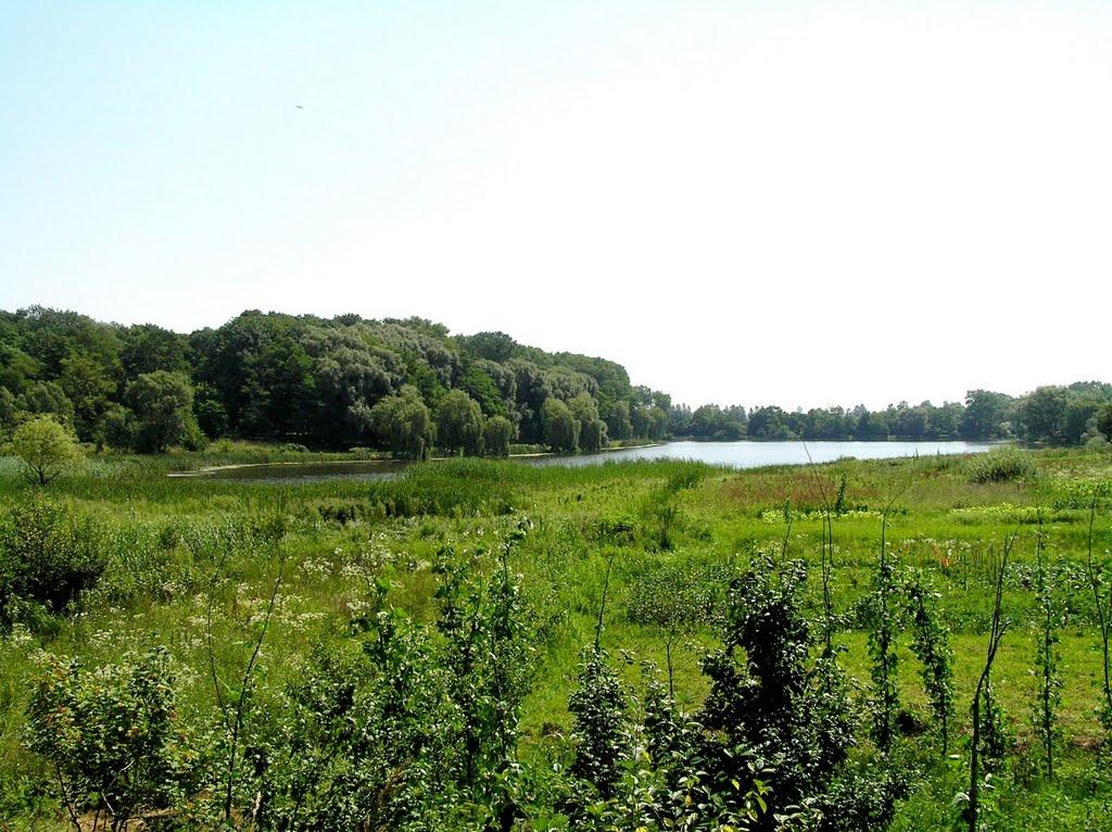Новий Розділ з panoramio.com - Новый Роздол