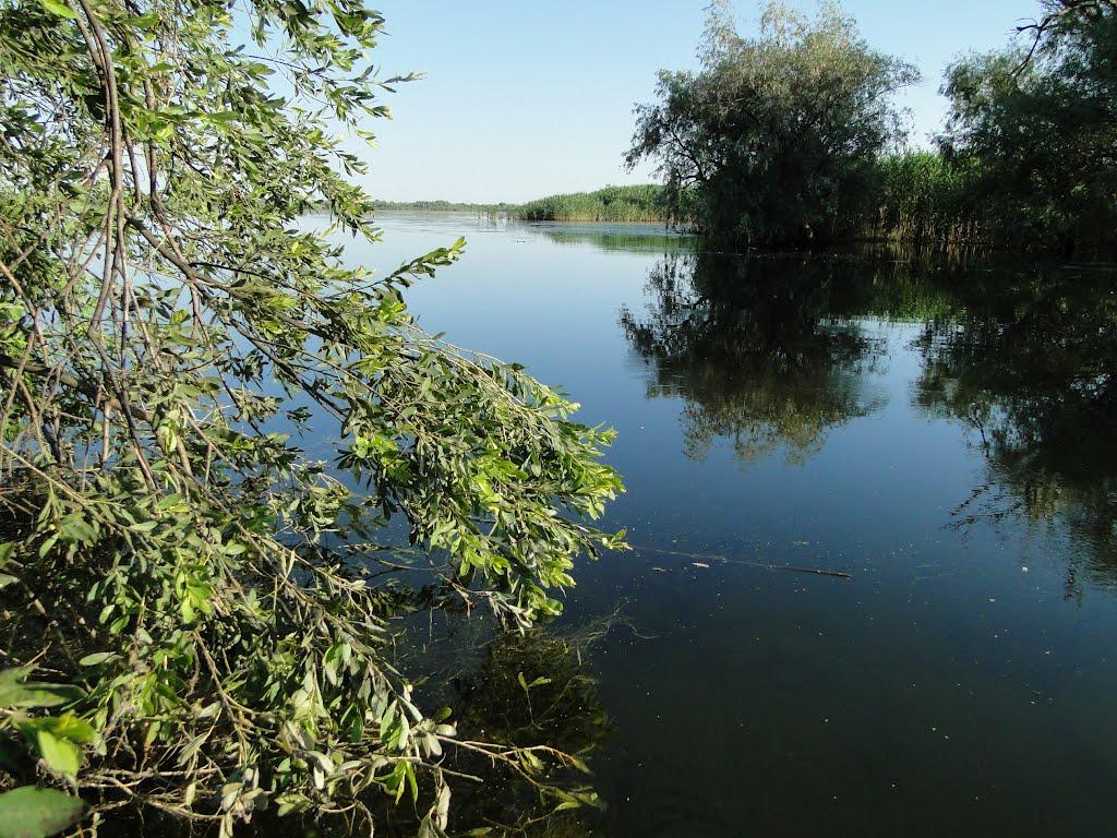 Дунайське з panoramio.com (ч.2) - Дунайское