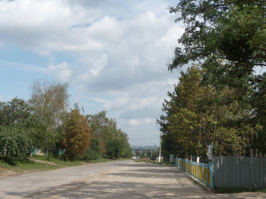 Бабаї з panoramio.com - Бабаи