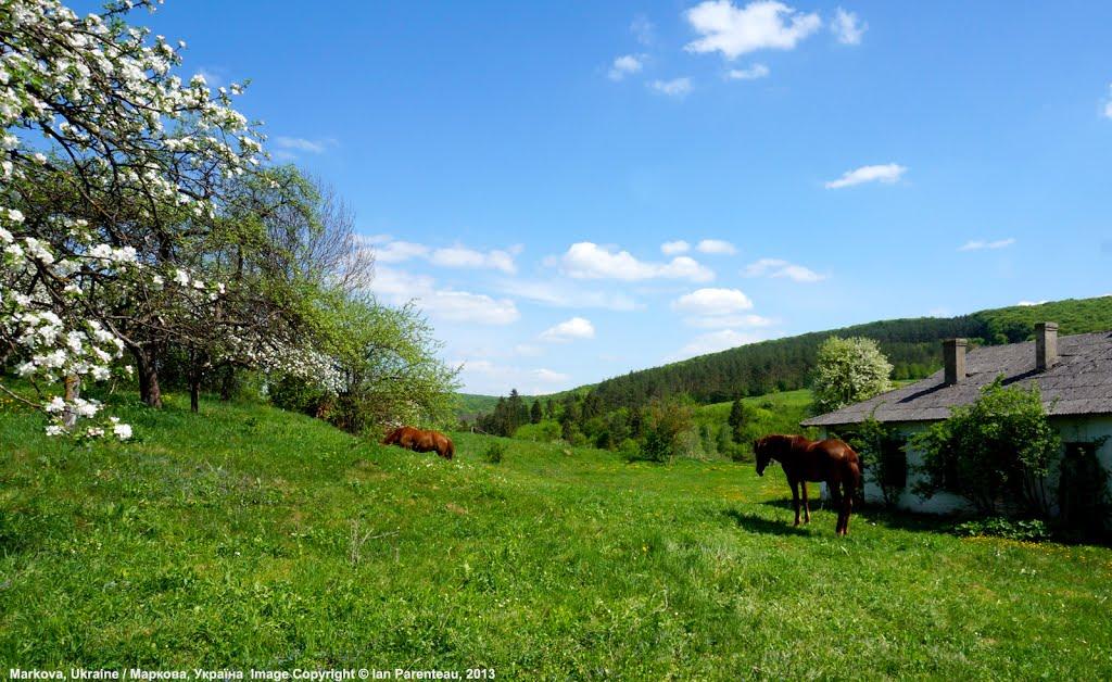 Маркова з panoramio.com - Маркова