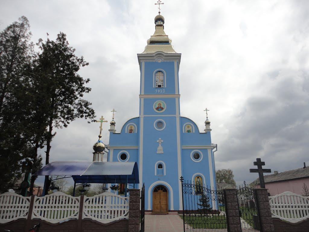 Тросник з panoramio.com - Тростник