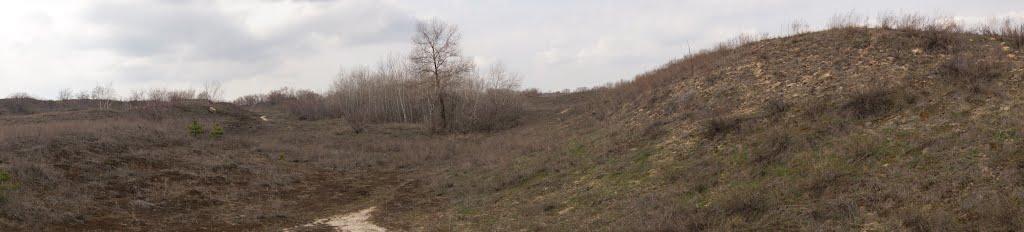 Кряківка з panoramio.com - Кряковка