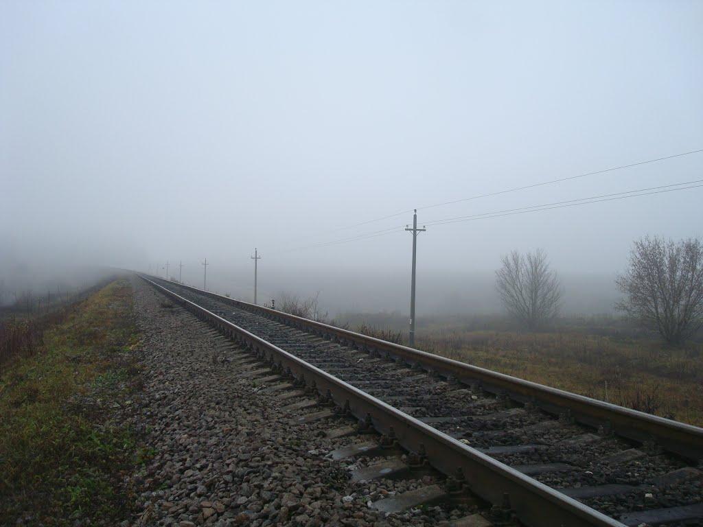 Томашівка з panoramio.com - Томашівка