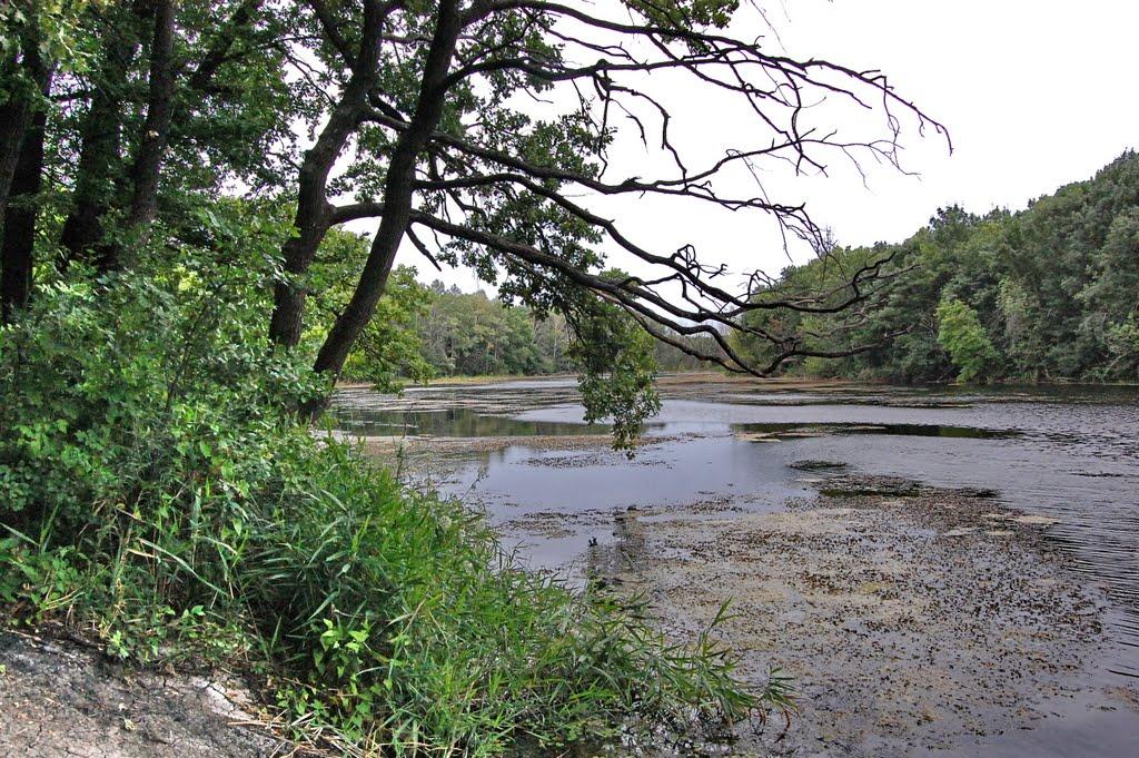 Білогорівка з panoramio.com - Білогорівка