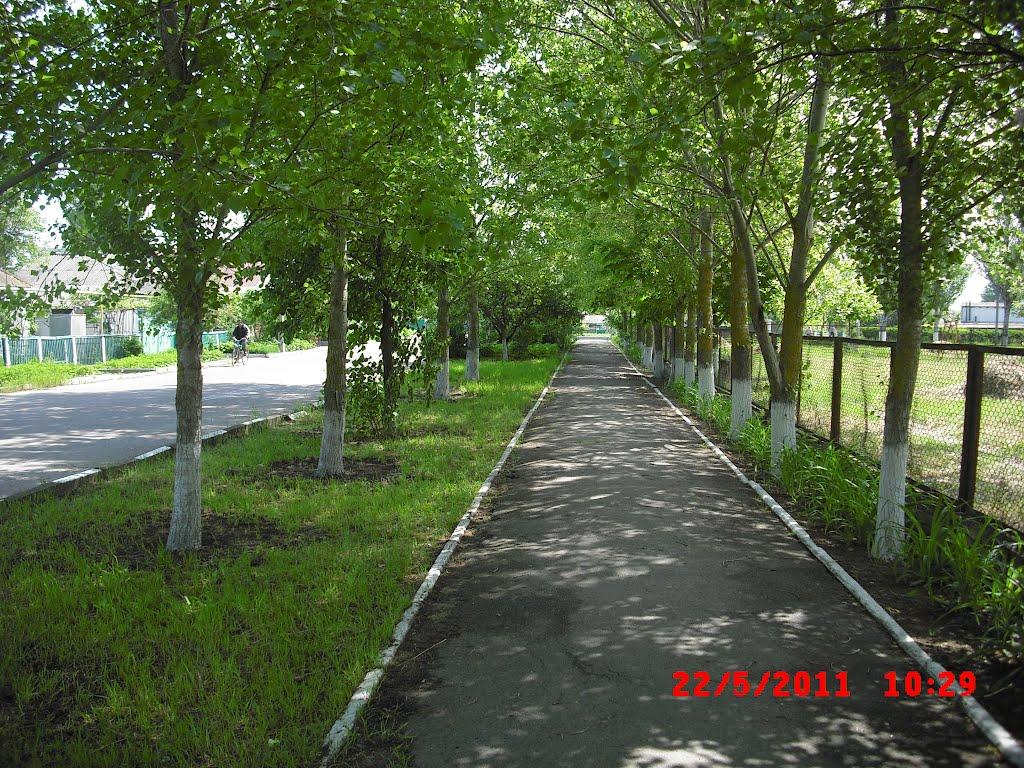 Скадовськ з panoramio.com - Скадовськ