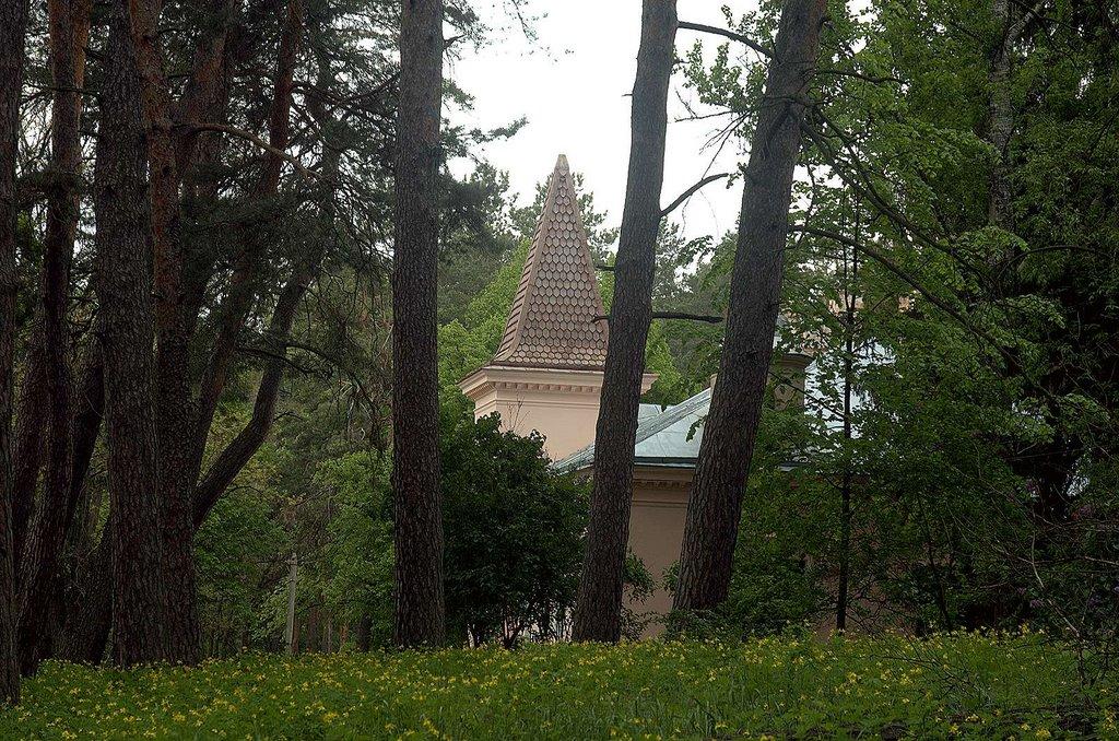 Сорокове з panoramio.com - Сороково