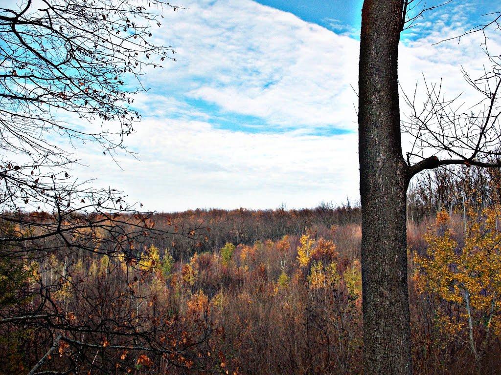 Старий Салтів з panoramio.com - Старий Салтів