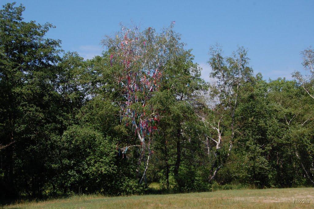 Смолянинове з panoramio.com - Смолянинове