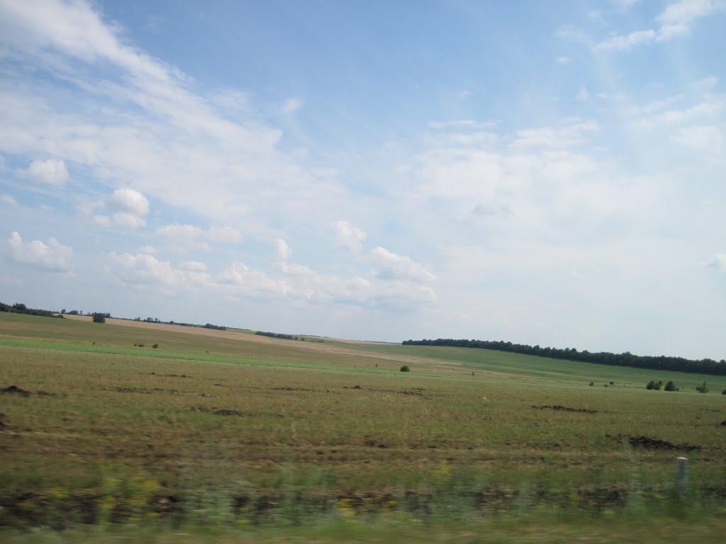 Мірошники з panoramio.com - Мірошники