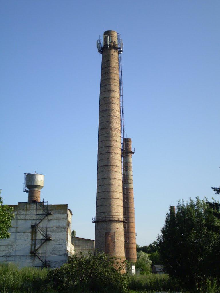 Пашківці з panoramio.com - Пашковцы