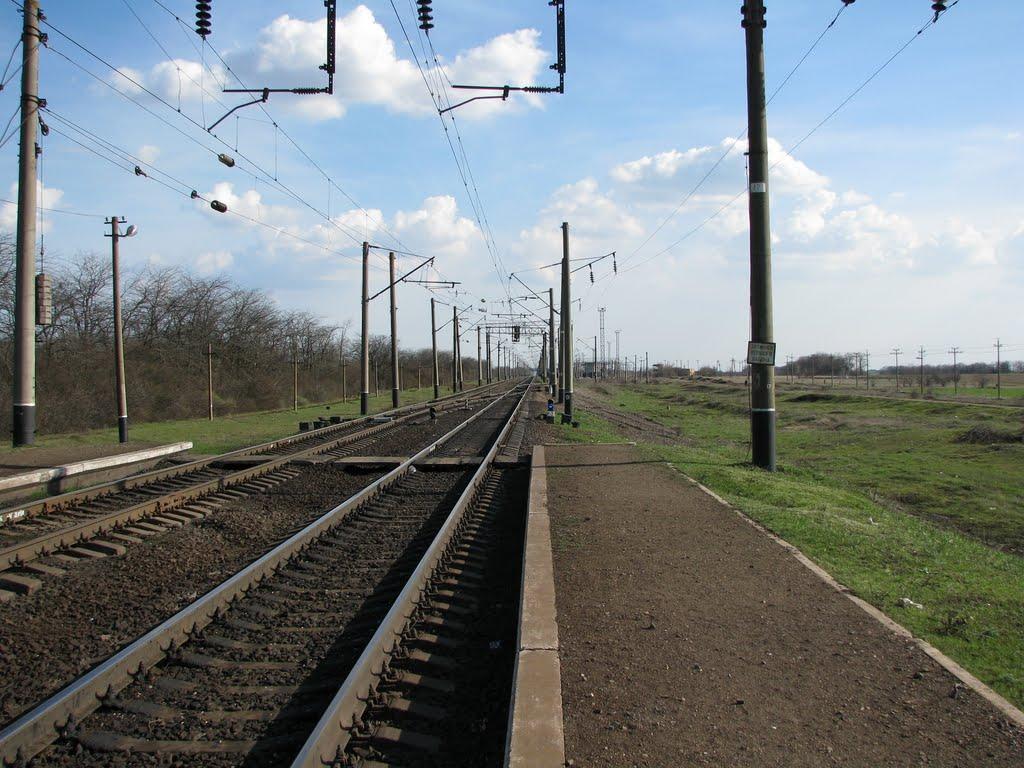 Нові Шомполи з panoramio.com - Нові Шомполи