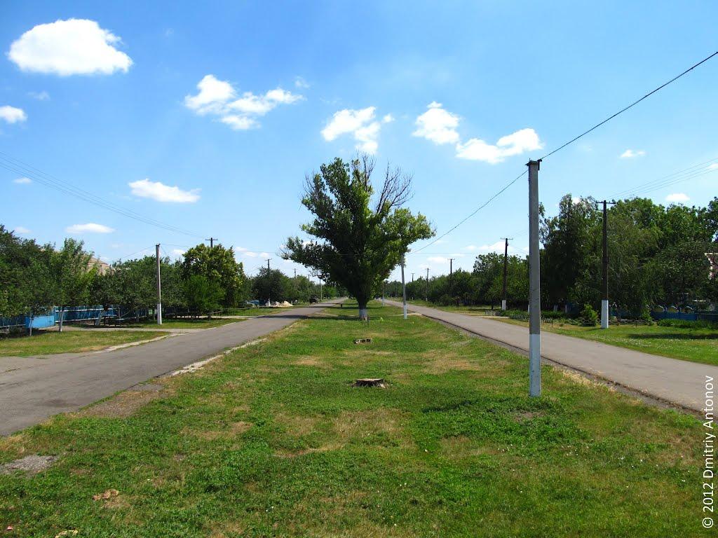 Свистунове з panoramio.com - Свистунове