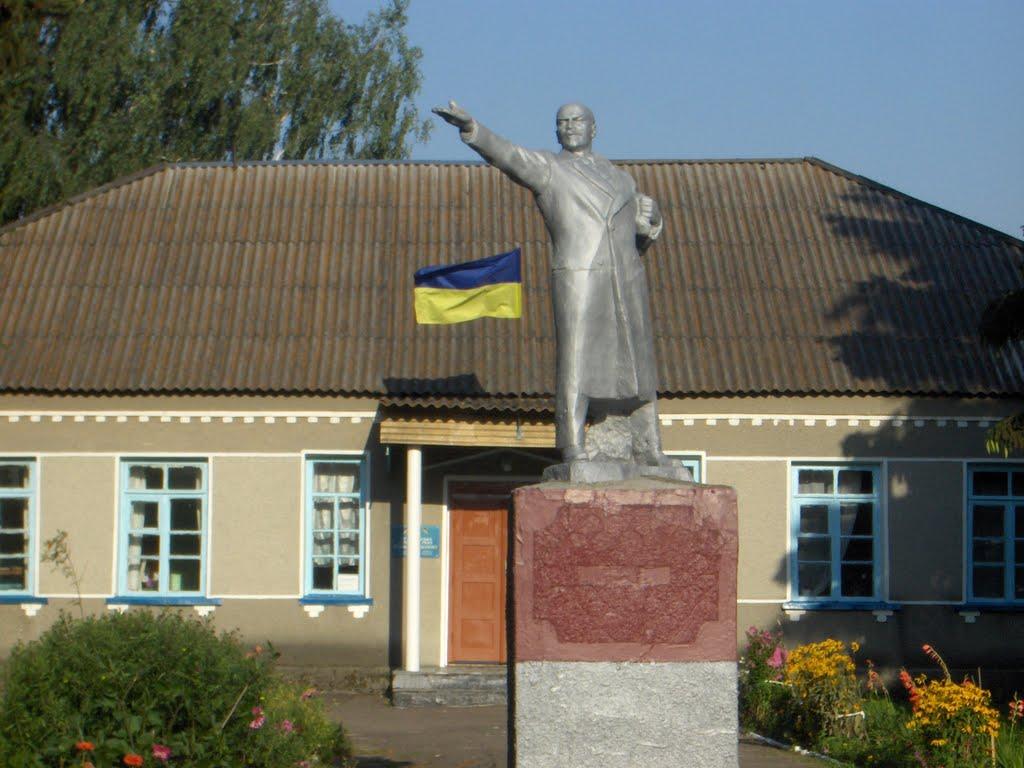 Врублівка з panoramio.com - Врублівка