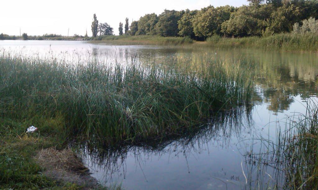 Добропілля з panoramio.com - Доброполье