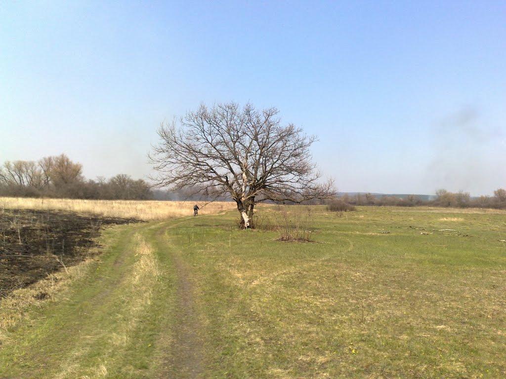 Кицівка з panoramio.com - Кицівка