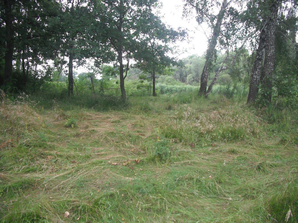 Любитове з panoramio.com - Любитово