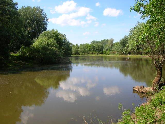 Соломоново з panoramio.com (ч.2) - Соломоново