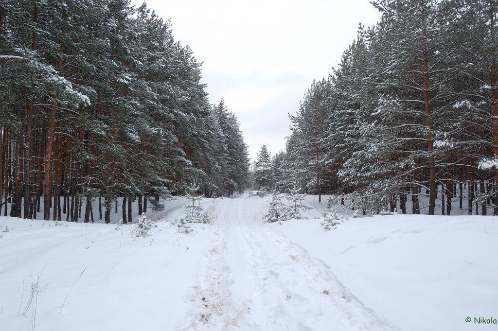 Осколонівка з panoramio.com - Oskolonivka