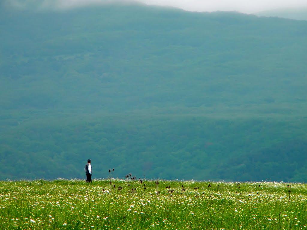 Новобобрівське з panoramio.com - Новобобровское