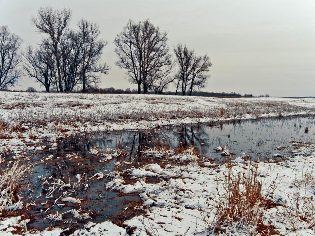 Слов'яносербськ з panoramio.com - Слов'яносербськ