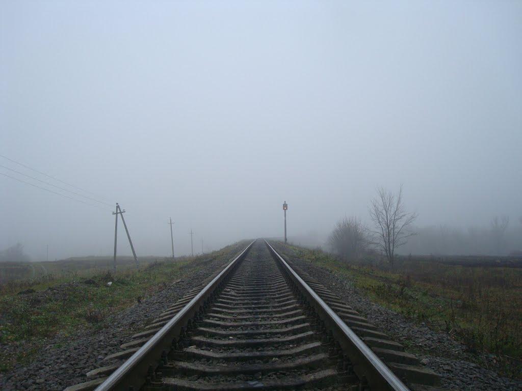 Томашівка з panoramio.com - Томашівка