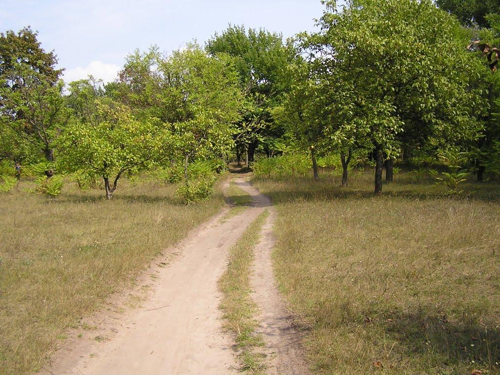 Ювілейне з panoramio.com - Yuvileyne