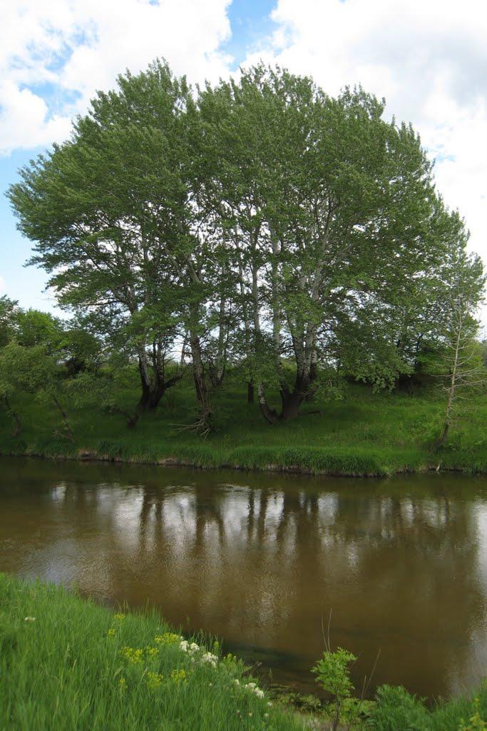 Гарасимівка з panoramio.com - Гарасимівка