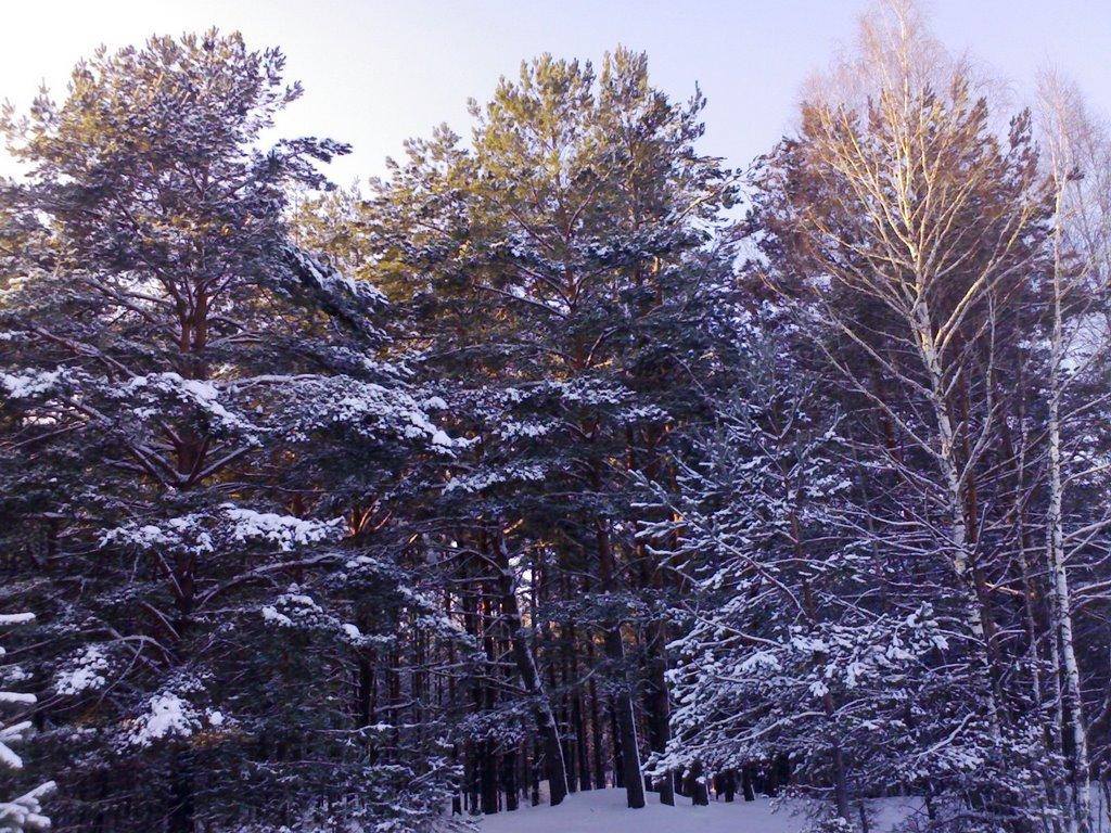 Городня з panoramio.com - Городня