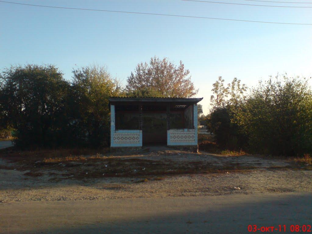 Новоселиця з panoramio.com - Новоселиця