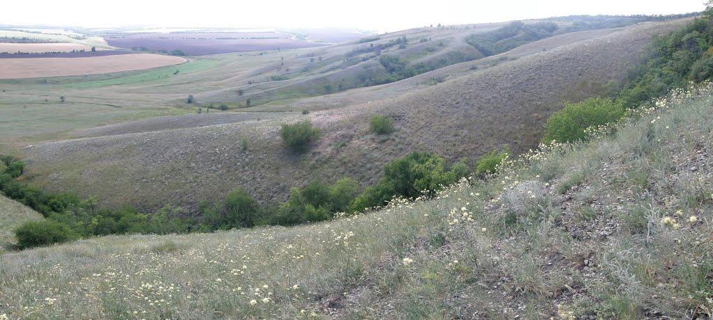 Георгіївка з panoramio.com - Георгіївка