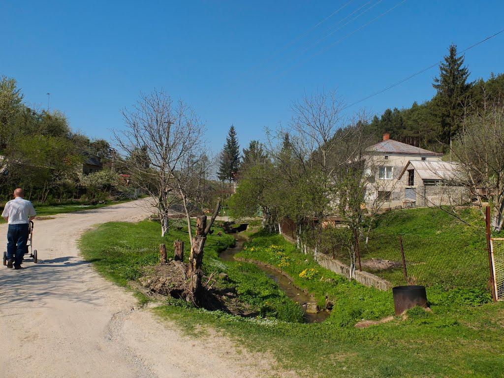 Старе Село з panoramio.com - Старое Село