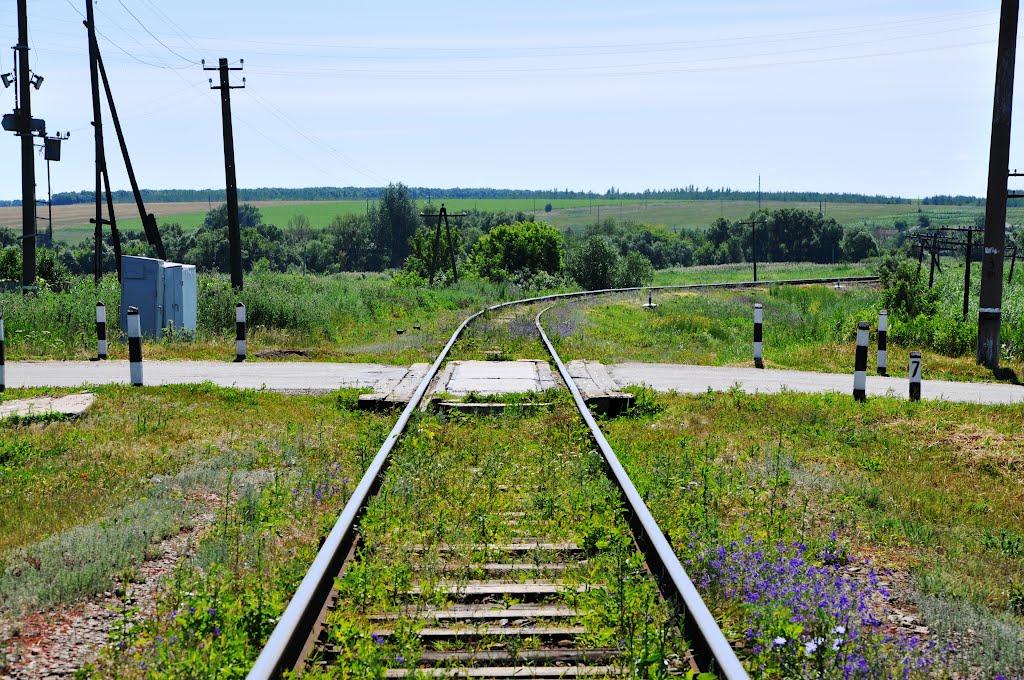 Троїцьке з panoramio.com - Троїцьке