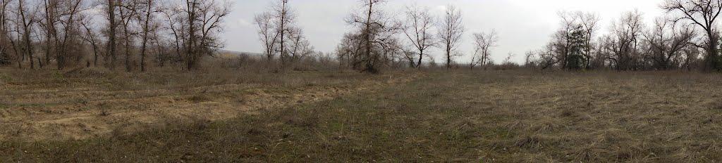 Кряківка з panoramio.com - Кряковка