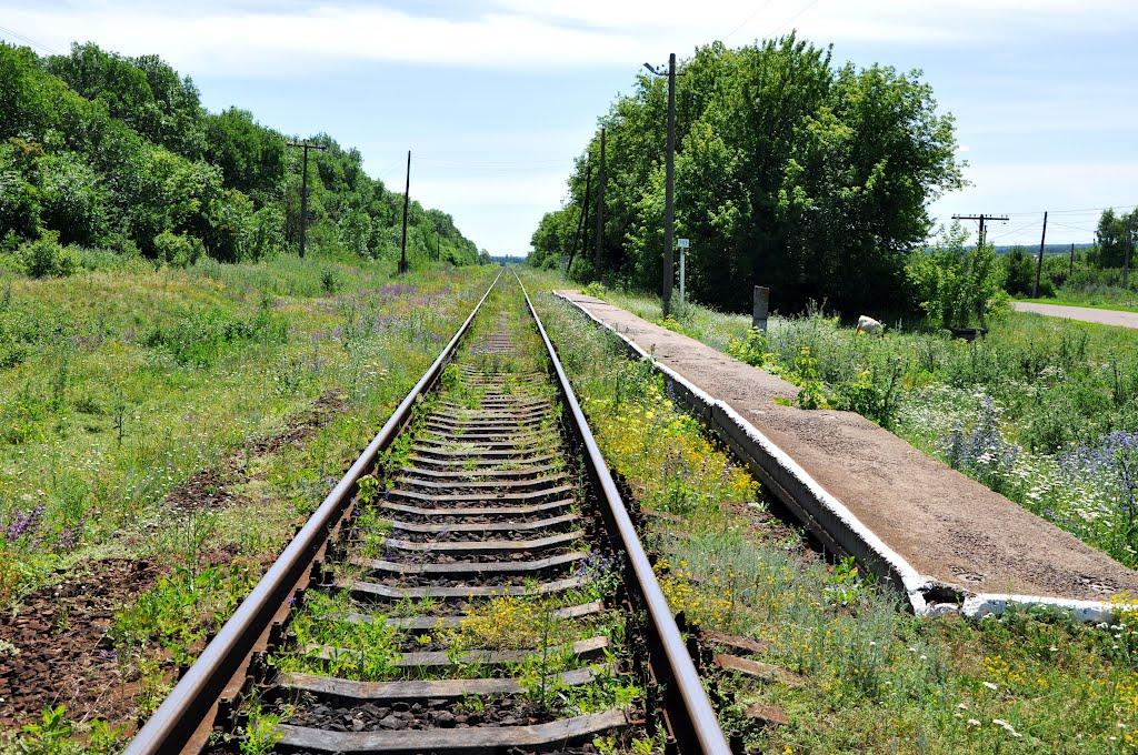 Троїцьке з panoramio.com - Троицкое